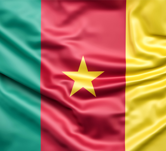 drapeau Cameroun